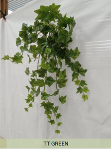 ENGLISH GARDEN IVY HANGING BUSH