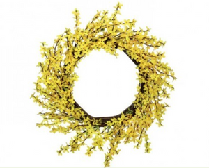 WILD FORSYTHIA COLLECTION