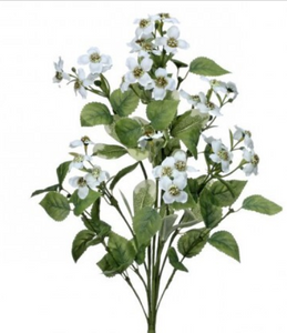 MINI DOGWOOD BUNDLE