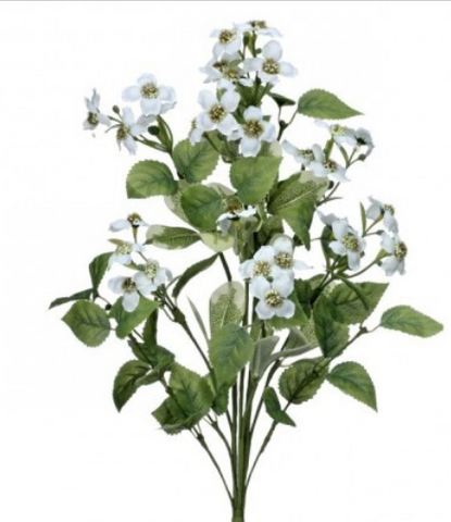 MINI DOGWOOD BUNDLE