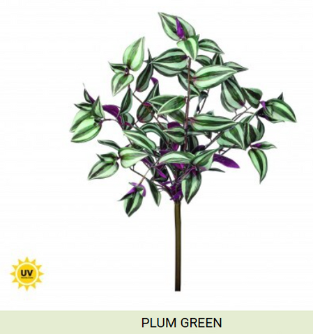 UV TRADESCANTHIA BUSH (2 colors)