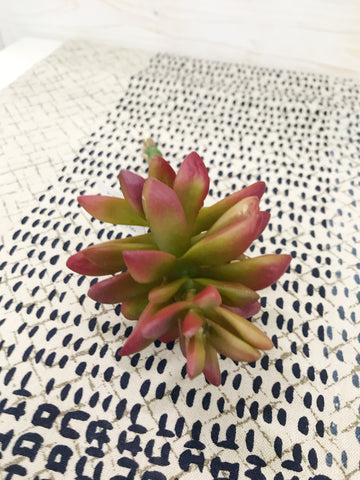 Succulent Stem